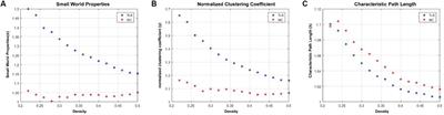Topological regularization of networks in temporal lobe epilepsy: a structural MRI study